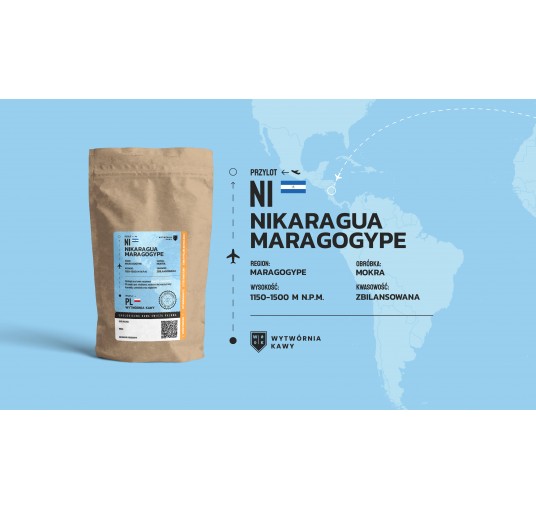 Nikaragua Maragogype - ARABICA 100%