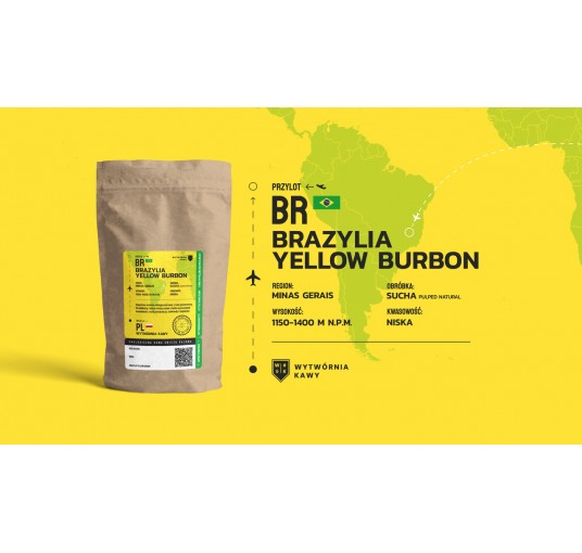 Brazylia Yellow Burbon - ARABICA 100%